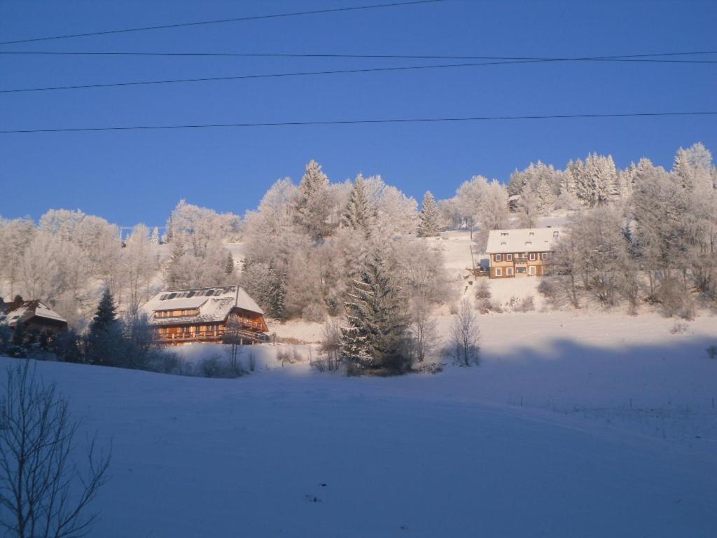 Landgasthaus Gemsennest Hotel Feldberg  Exterior photo